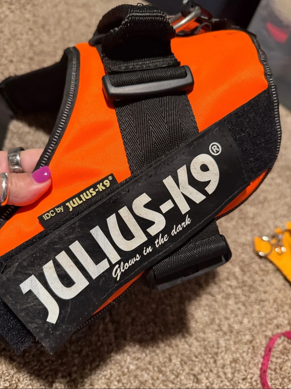 NWT Julius K-9 IDC Powerharness for dogs (size 3)